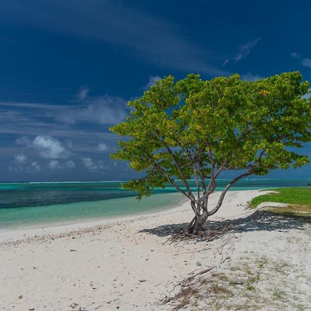 Chao Guest House Maafushi Bagian luar foto