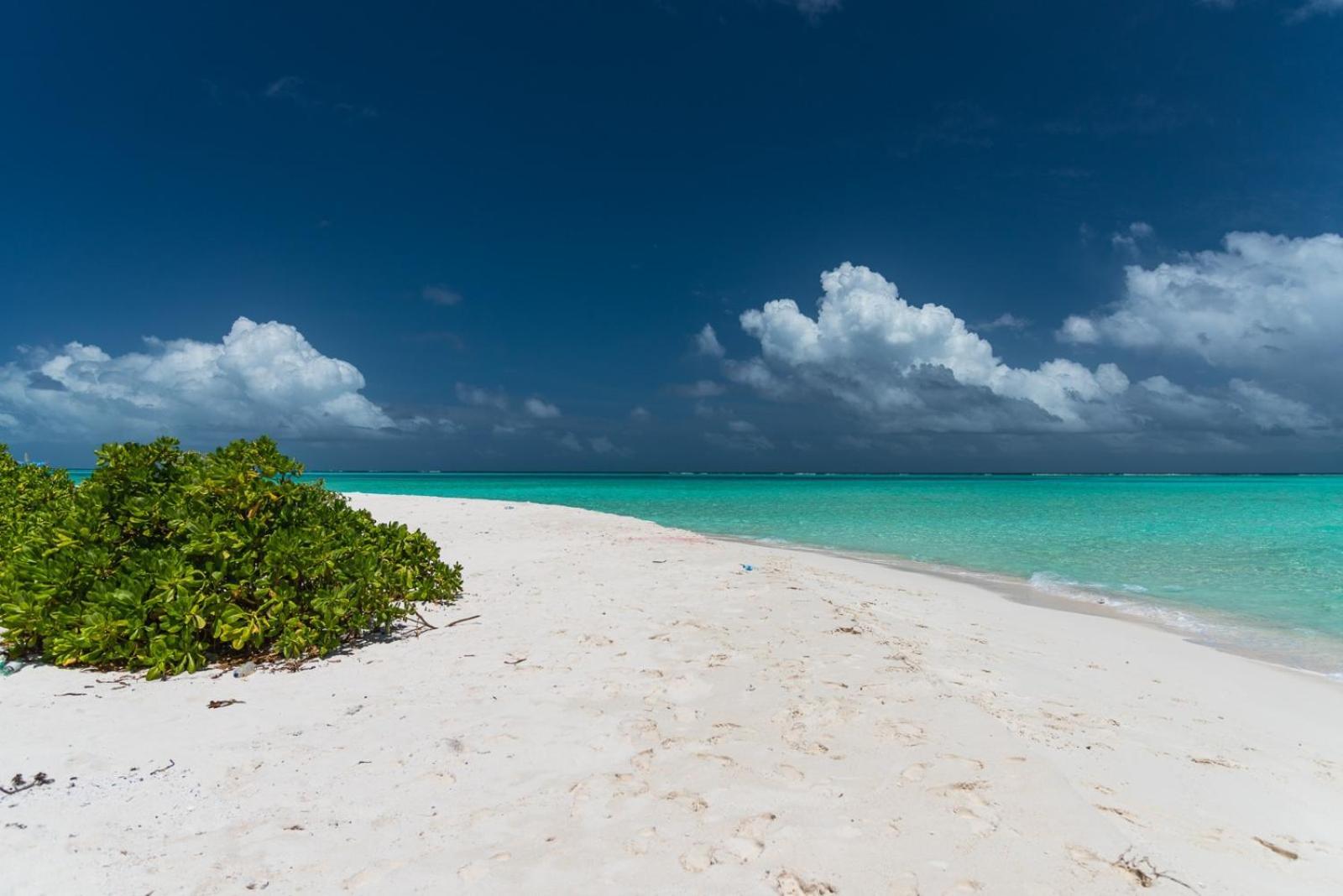 Chao Guest House Maafushi Bagian luar foto